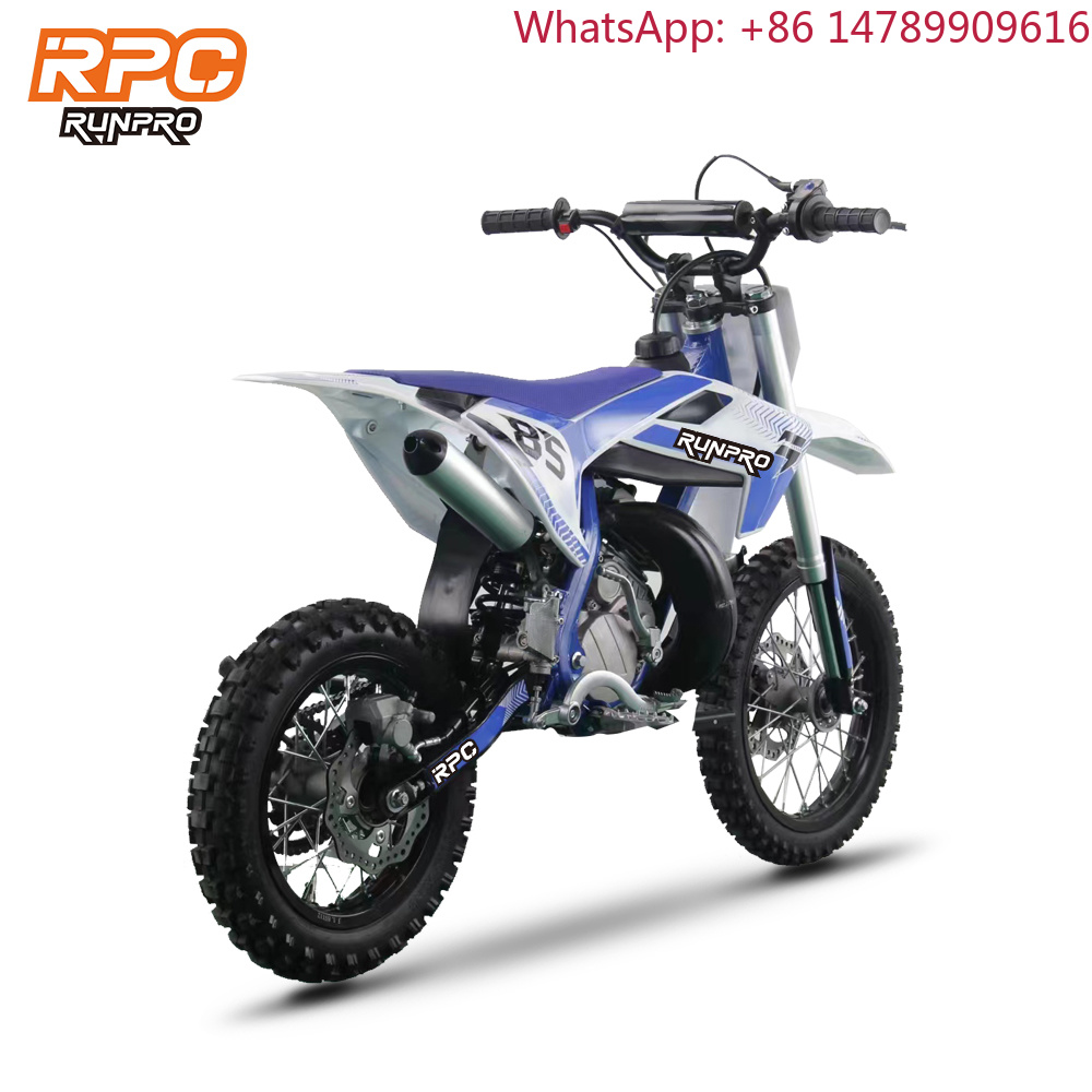 Lightweight DesignRUNPRO R-GD0 - đánh giá và giá Brake Disc Motorcycle